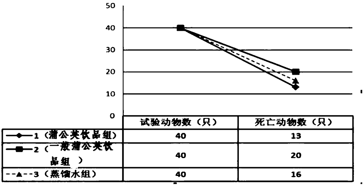 Taraxacum officinale beverage and preparation method thereof