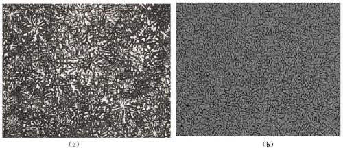 mg-zn-cu-zr-(cr-ca) alloy under gpa level high pressure and its preparation method