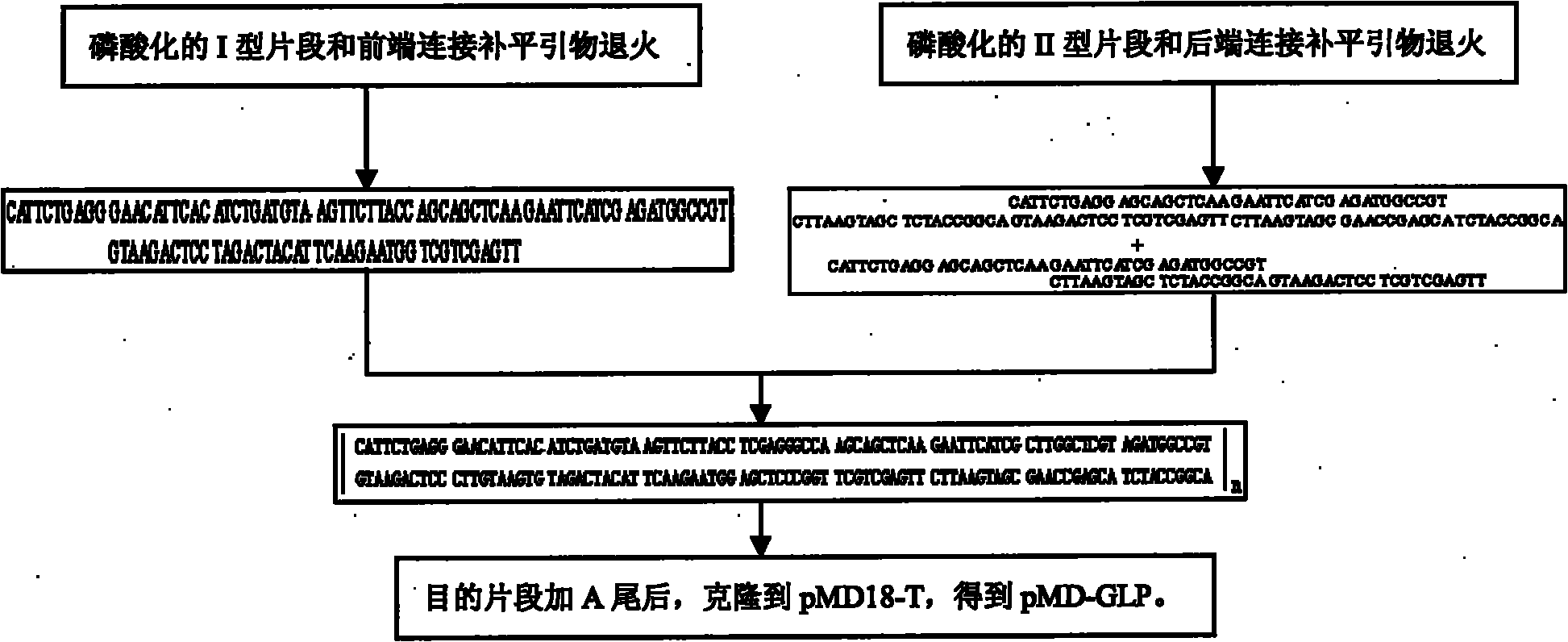 Yeast for dietary therapy of diabetes and construction method thereof