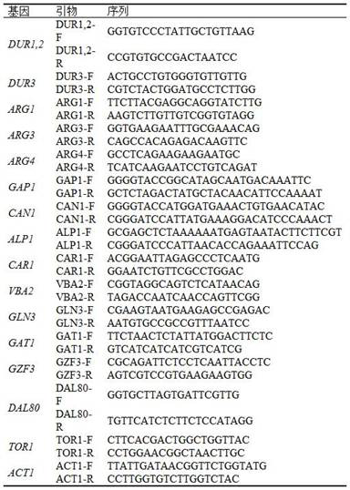 A method of regulating transcriptional activators to reduce urea accumulation in rice wine yeast