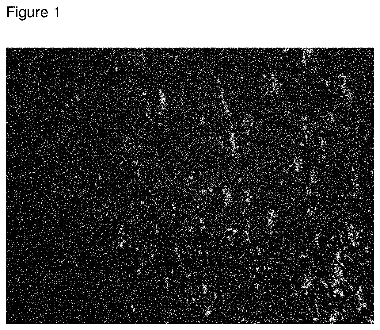 Topical roflumilast formulation having improved delivery and plasma half life