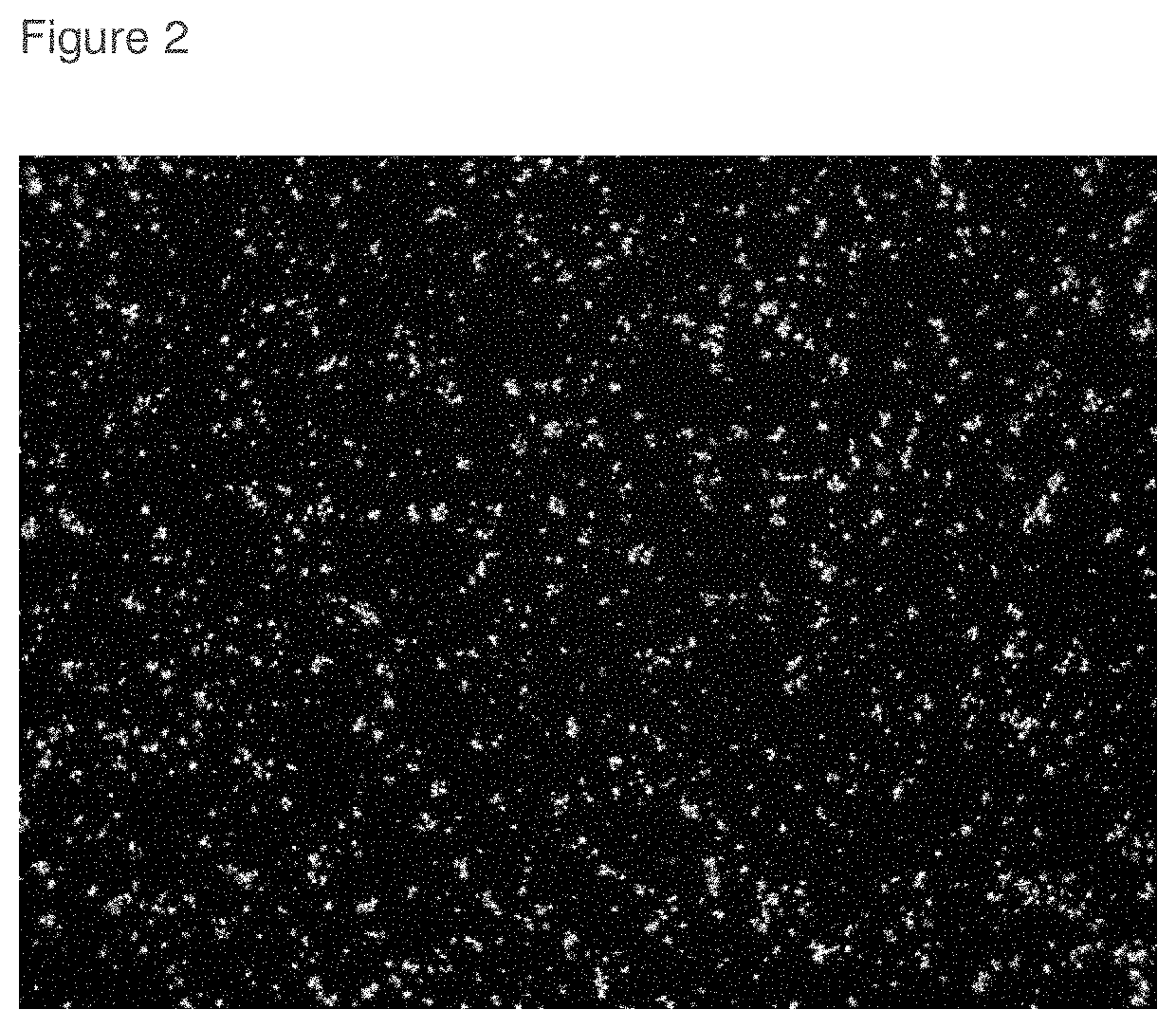 Topical roflumilast formulation having improved delivery and plasma half life