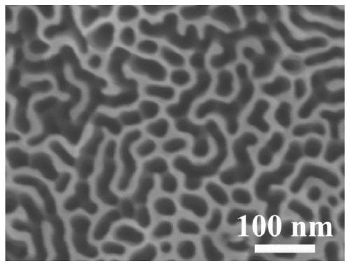 N-doping SiC single crystal nanometer pore passage array and prepared photoelectric catalysis anode