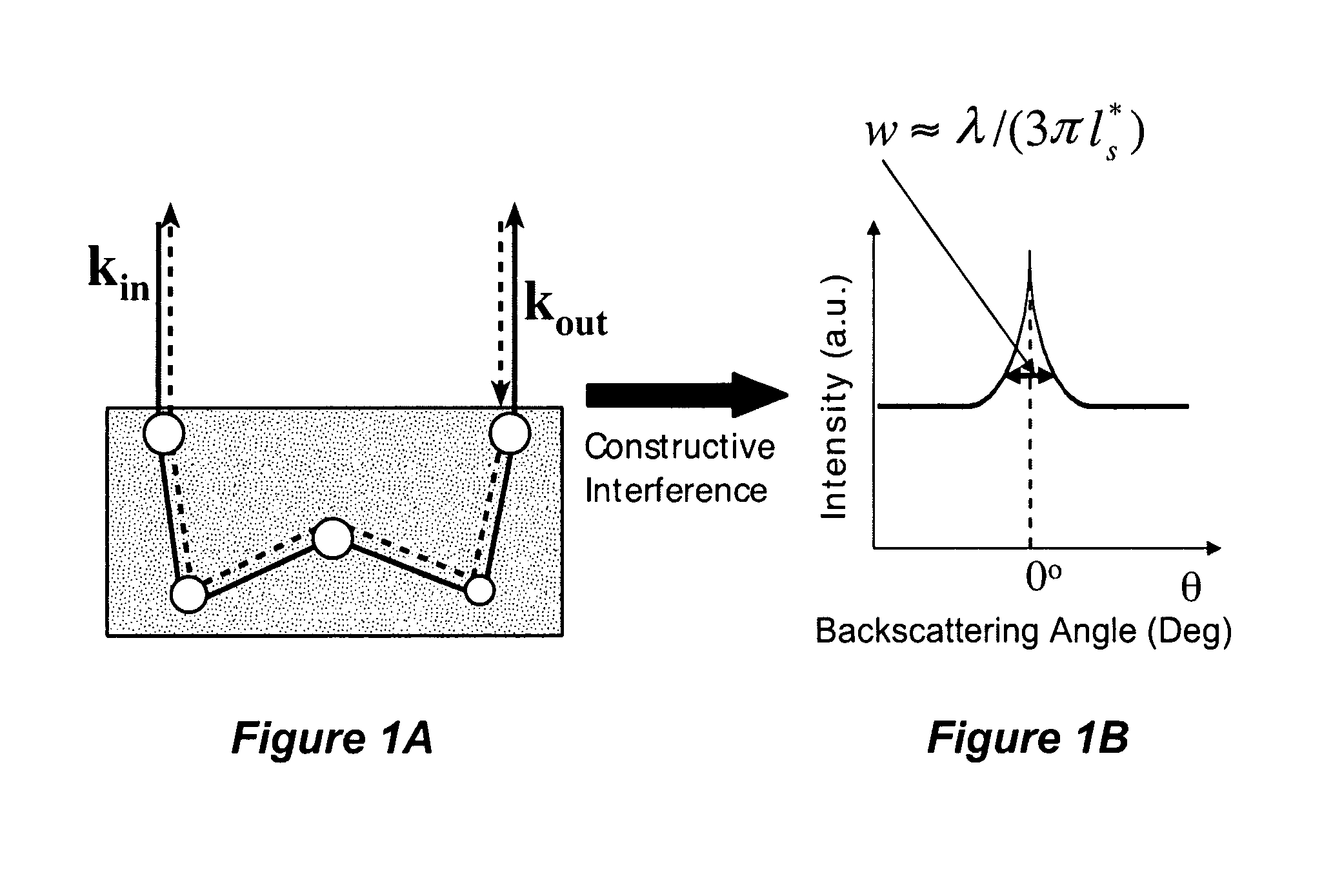 Systems, methods, and apparatuses of low-coherence enhanced backscattering spectroscopy