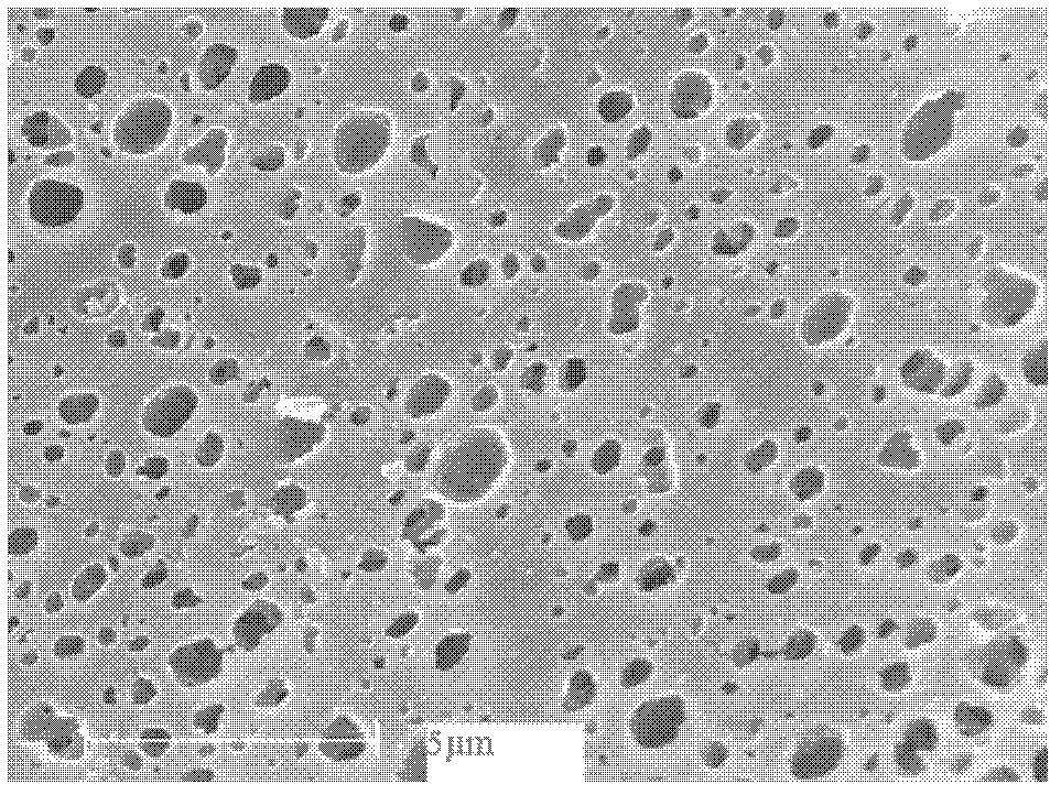 Structure control method of outer surface of polypropylene separation membrane