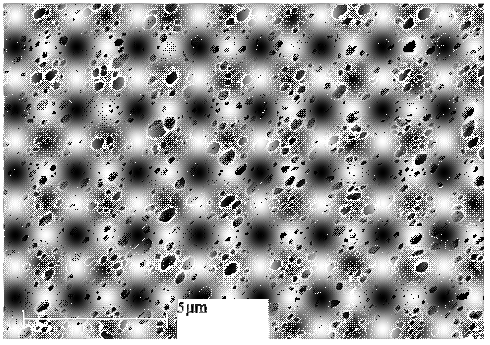 Structure control method of outer surface of polypropylene separation membrane