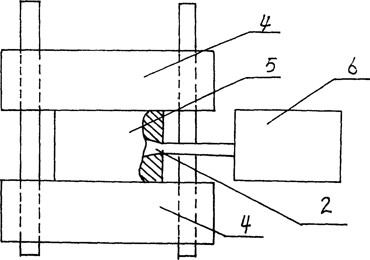 Injection moulding process and apparatus for plastic diaphragm of press filter