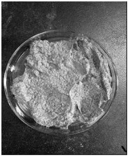 A kind of method of producing selenium-enriched Cordyceps sinensis mycelia raw material