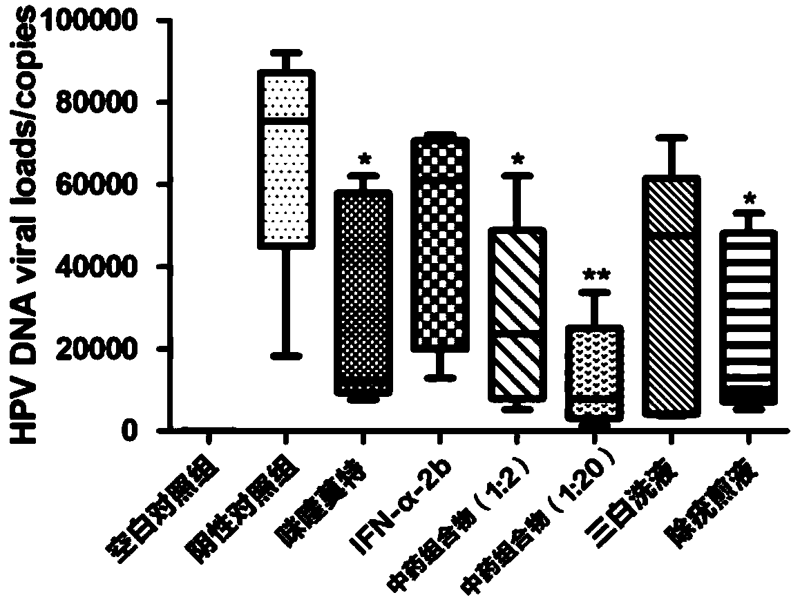 Traditional Chinese medicine composition for treating human papilloma virus (HPV) infection and preparing method and application thereof