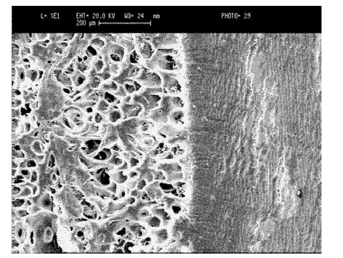 Preparation method of biological function composite auxetic hydrogel with shell core structure