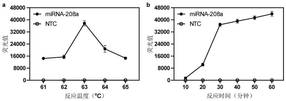 MiRNA-208a amplification primer pair based on chain exchange amplification and detection kit thereof