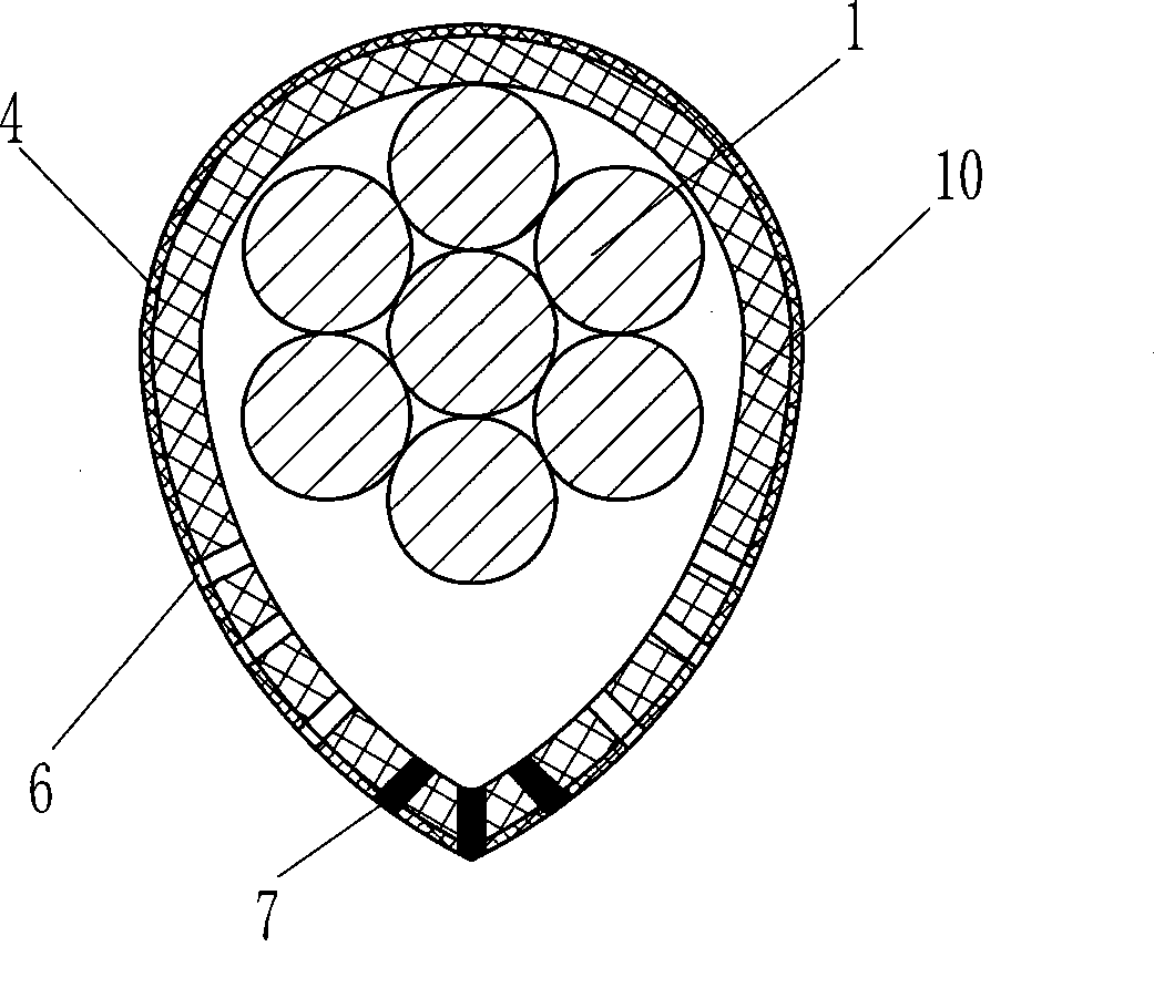 Ice coagulation preventing cable and auxiliary equipment