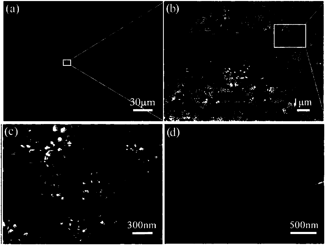 Device and method for preparing super-amphiphobic self-cleaning oil-water separation material