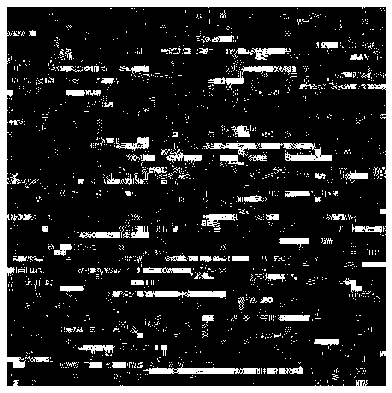 Encryption method of jpeg image bit stream based on the change of AC statistical characteristics