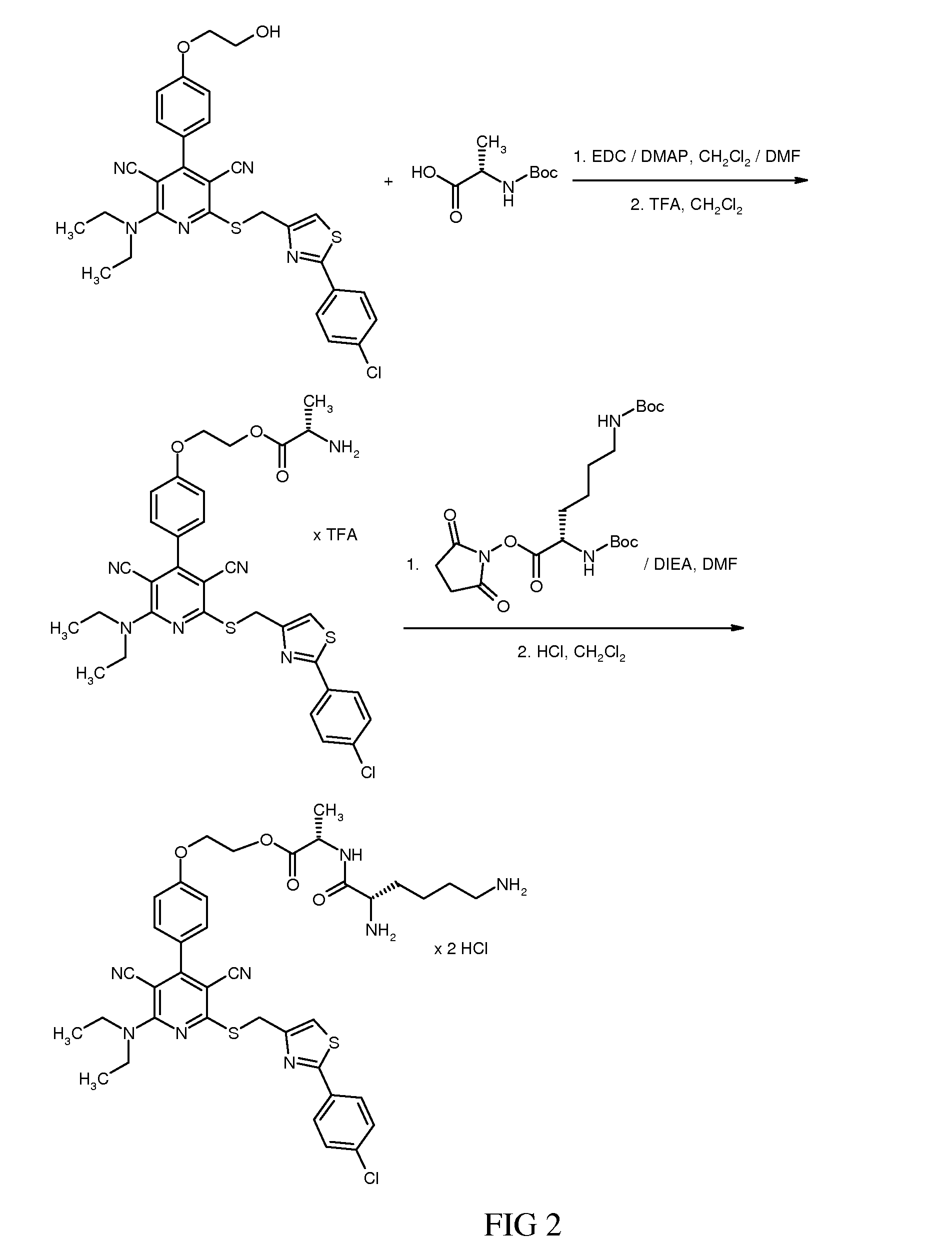 Alkylamino-substituted dicyanopyridines and their amino acid ester prodrugs