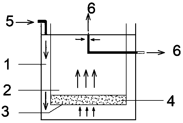 Sealed inflatable upwelling culture device for intermediate culture of bivalve mollusks and culture method thereof