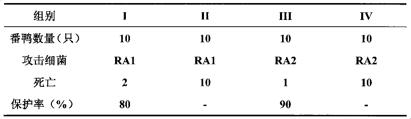 Mixed yolk antibody for preventing and treating duck infectious serositis and preparation thereof