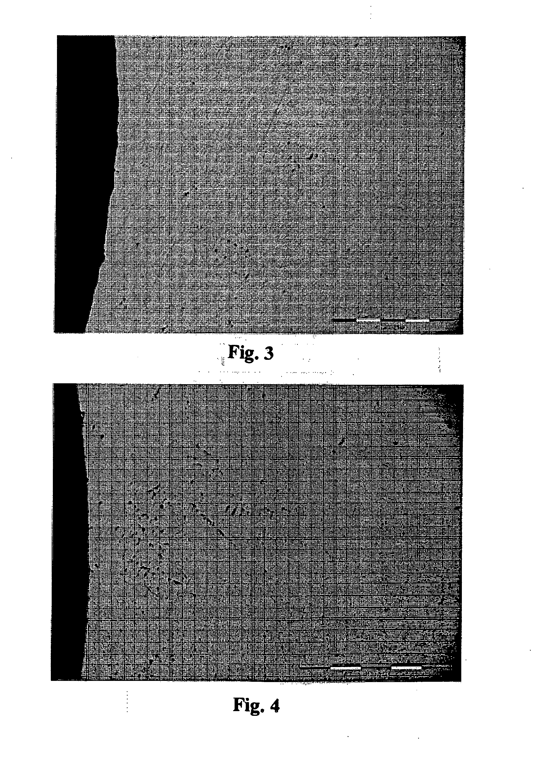 Method of regenerating a polishing pad using a polishing pad sub plate