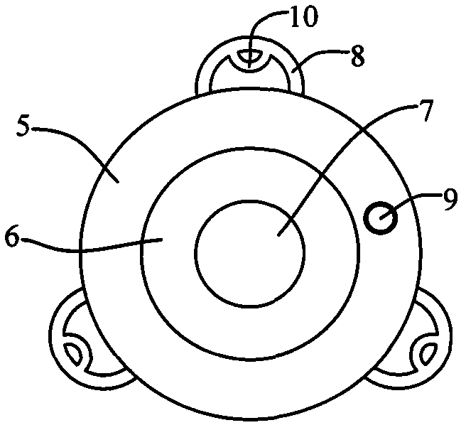 Endoscope guiding device