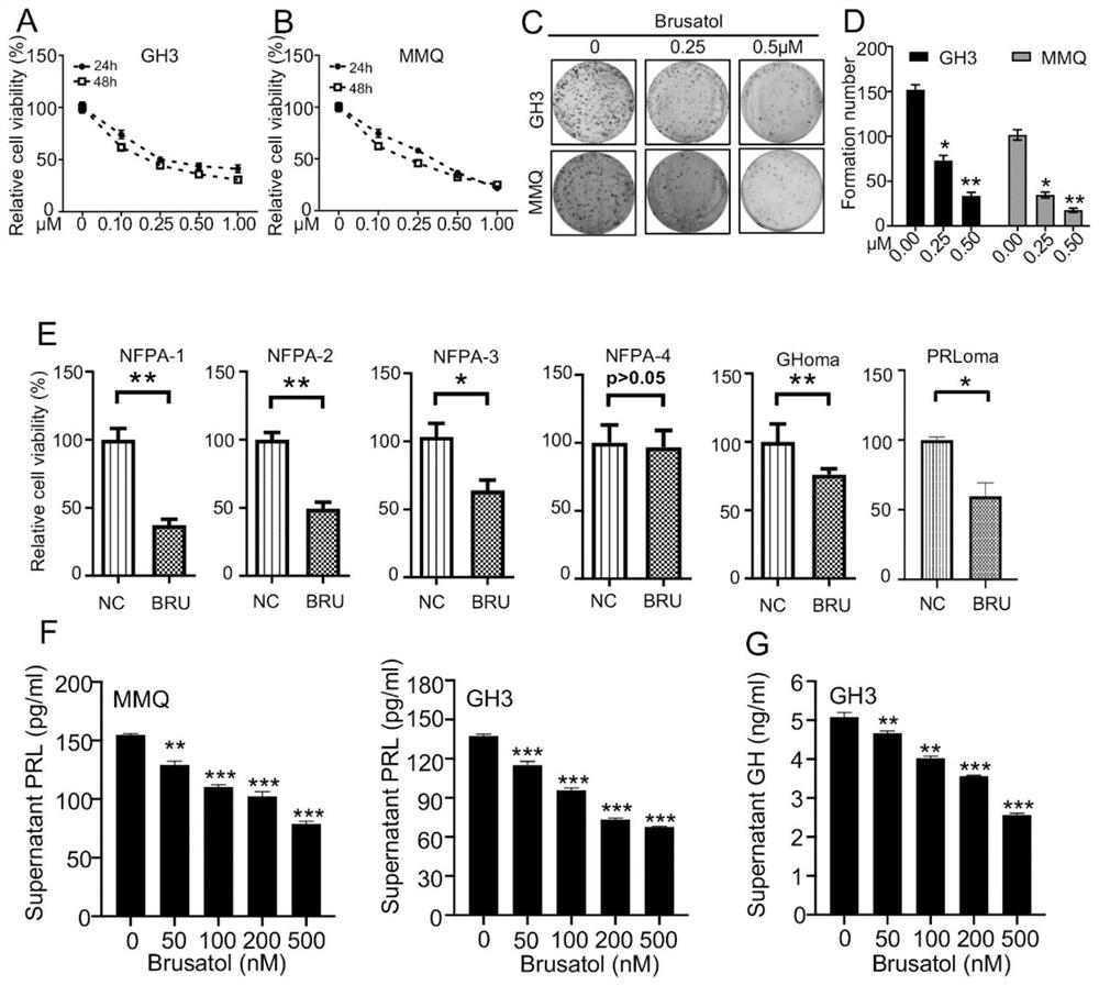 Use of brusatol and analogues thereof in treatment of pituitary adenoma