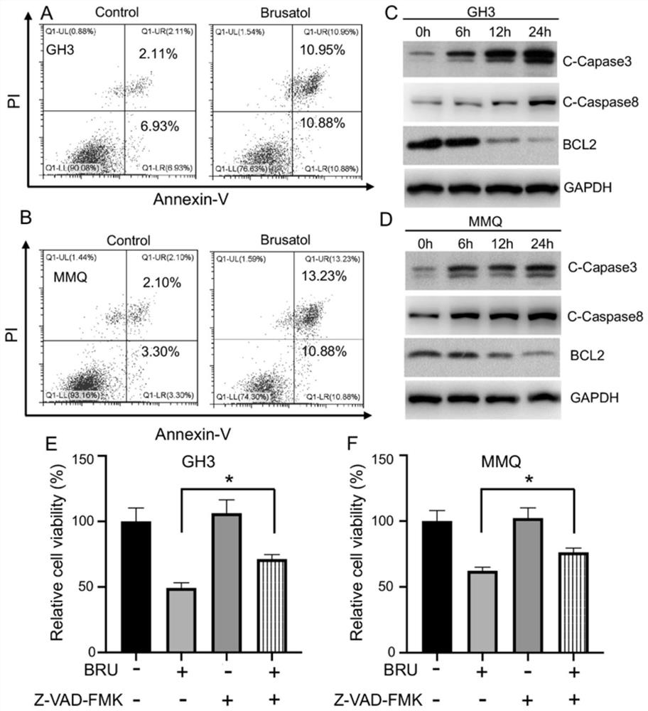 Use of brusatol and analogues thereof in treatment of pituitary adenoma