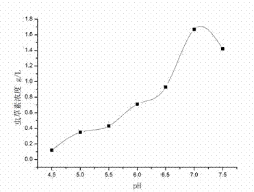 Cordyceps militaris strain for producing cordycepin with high yield