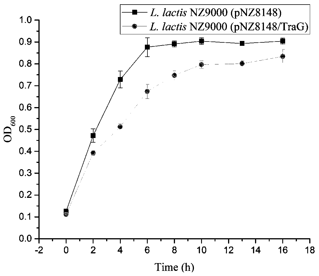 A kind of anti-acid stress recombinant lactic acid bacteria and its application