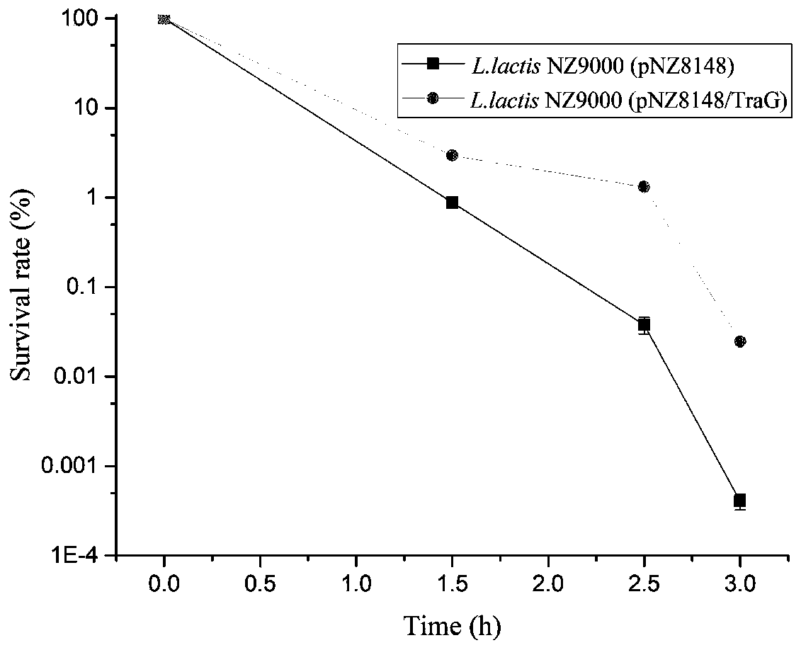 A kind of anti-acid stress recombinant lactic acid bacteria and its application