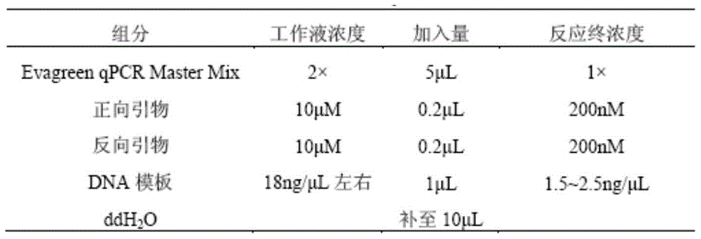 A kind of snp molecular marker and hrm method to trace the origin of pork dna