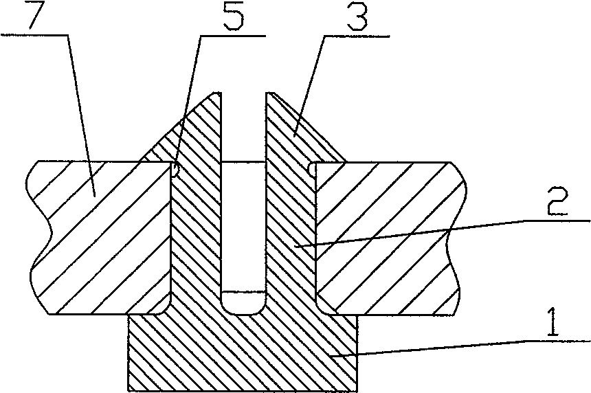 Application of jigsaw puzzle plug for automobile