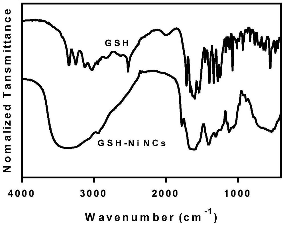 Fluorescent metal nanocluster, preparation method and application thereof