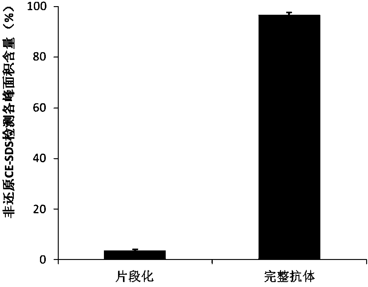 Serum-free culture medium for protecting disulfide bond integrity of antibody in animal cell culture process