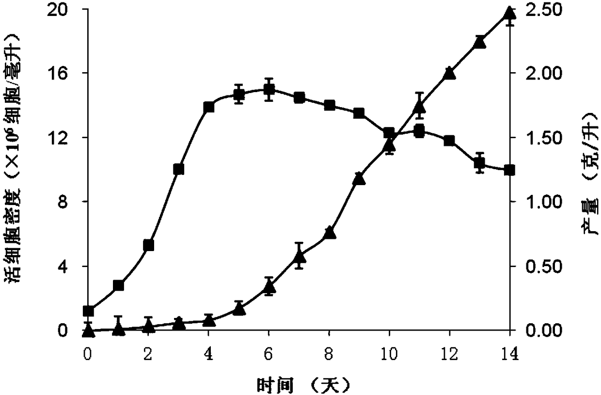 Serum-free culture medium for protecting disulfide bond integrity of antibody in animal cell culture process