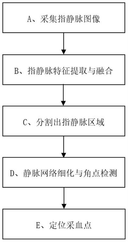 Fingertip blood sampling point positioning method based on vein segmentation and angular point detection