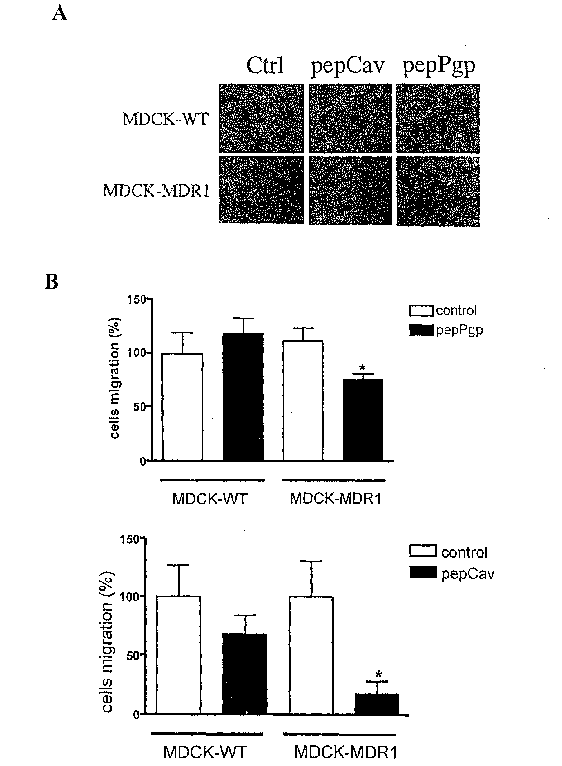 Compounds for stimulating p-glycoprotein function and uses thereof