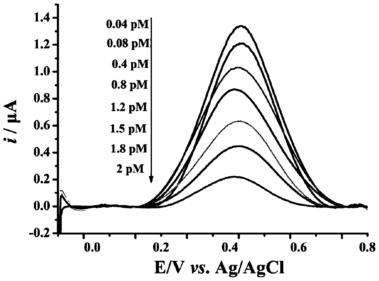 Preparation method of DNA walker-based coupled magnetic nano-composite, and product and application of nano-composite