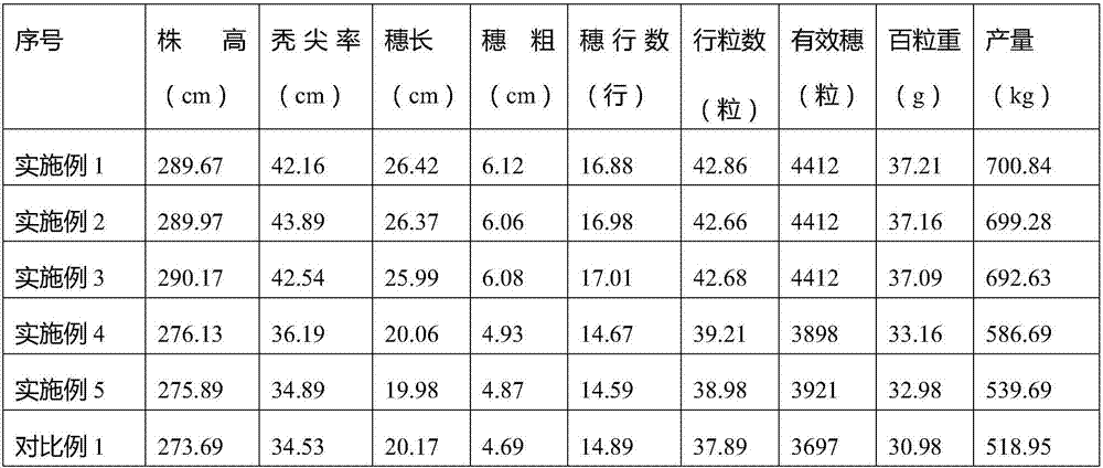 Bio-organic fertilizer based on waste clay and application of bio-organic fertilizer