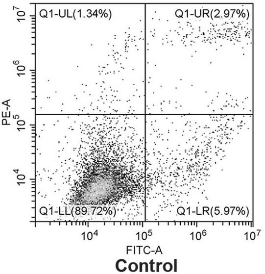 Method for inducing pyroptosis of lung adenocarcinoma NCI-H1299 cells by sodium new houttuyfonate