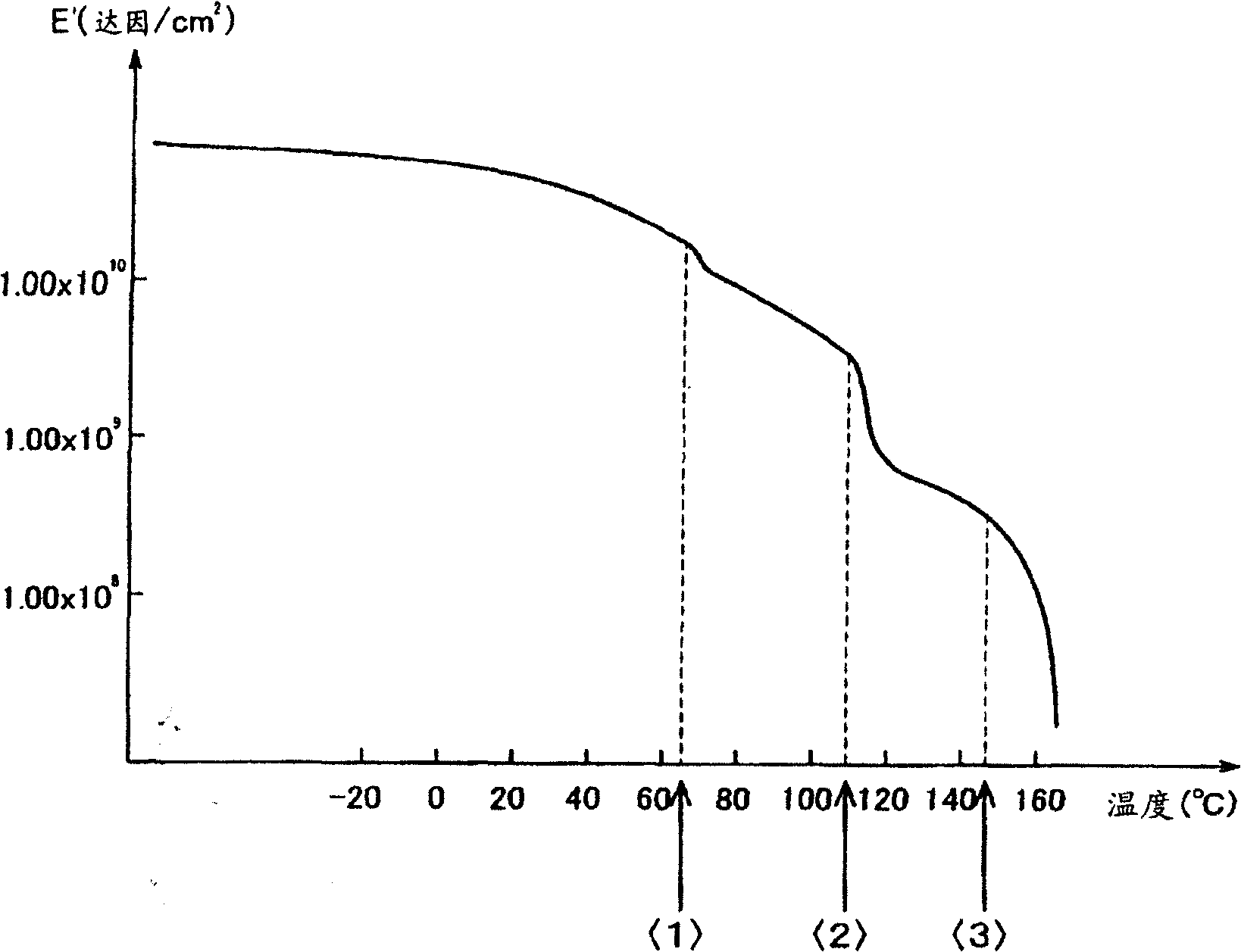 Biodegradable layered sheet