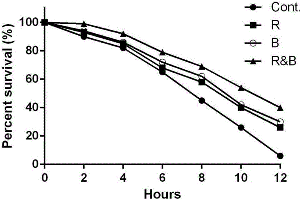 Lycium chinensis fruit and lycium ruthenicum fruit compound drink and manufacture method thereof