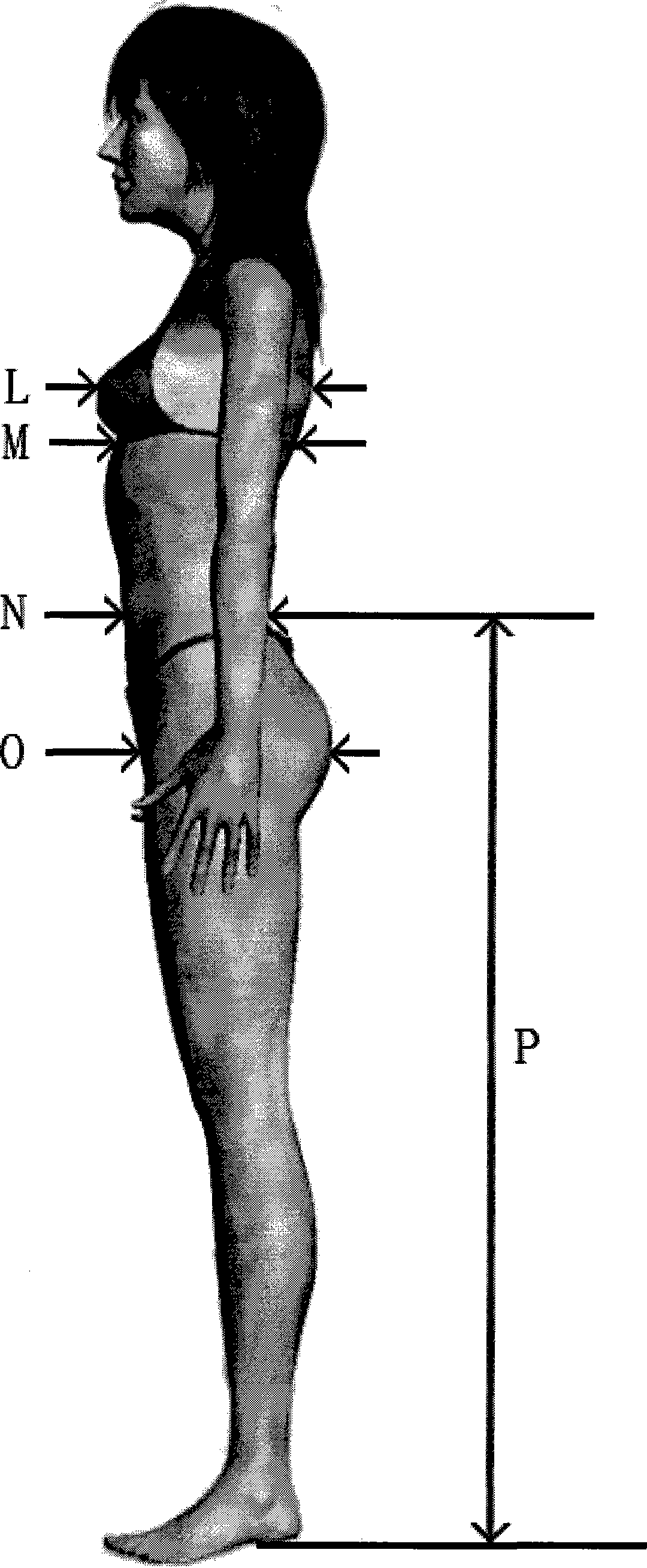 Remote intelligent testing method of three-dimensional human body image data network