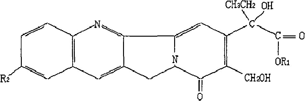 Insecticide composition and its processing method