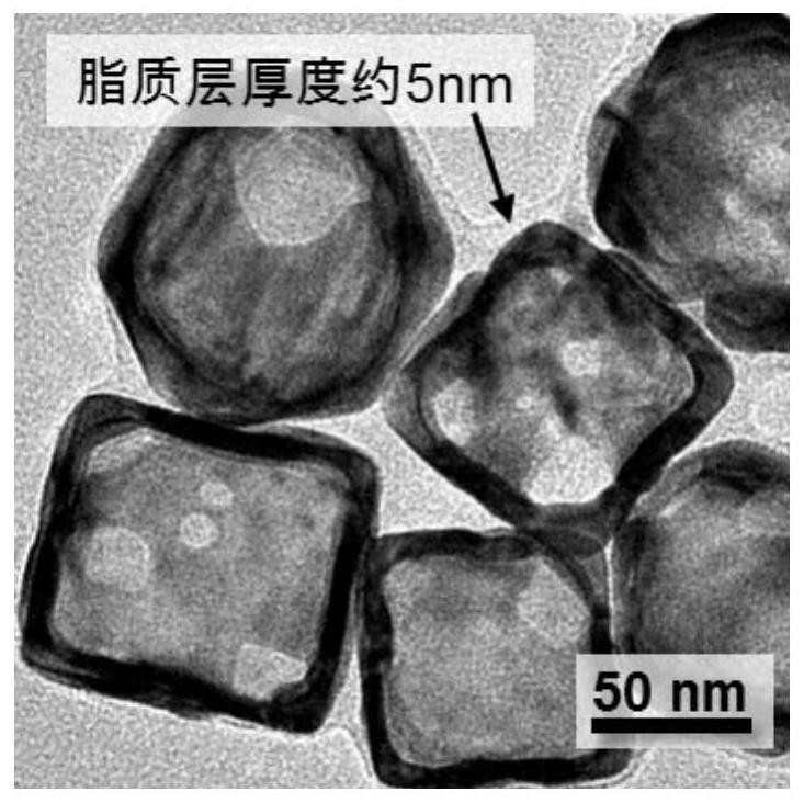 Thermosensitive gold nanocage and its preparation method and application, drug-loaded thermosensitive gold nanocage and its preparation method