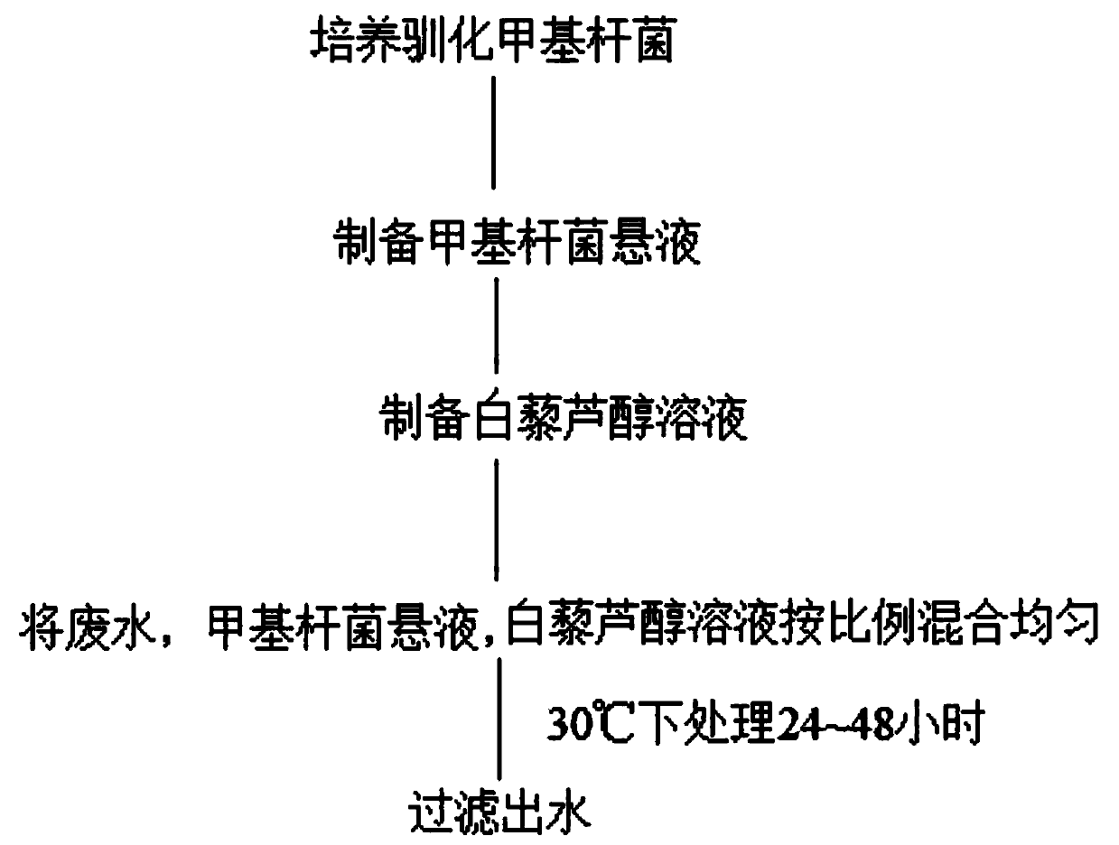 Resveratrol composite microbial agent for treating high concentration PAHs wastewater and usage method thereof