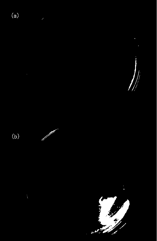 Rapid preparation method of totally-biodegradable composite membrane with nanometer silver on surface