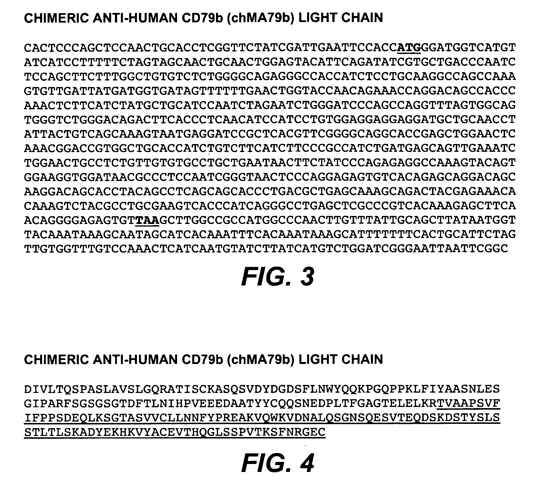 Anti-CD79B antibodies and immunoconjugates and methods of use