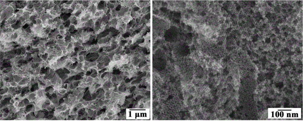 Three-dimensional hierarchical porous carbon film as well as preparation method and application thereof