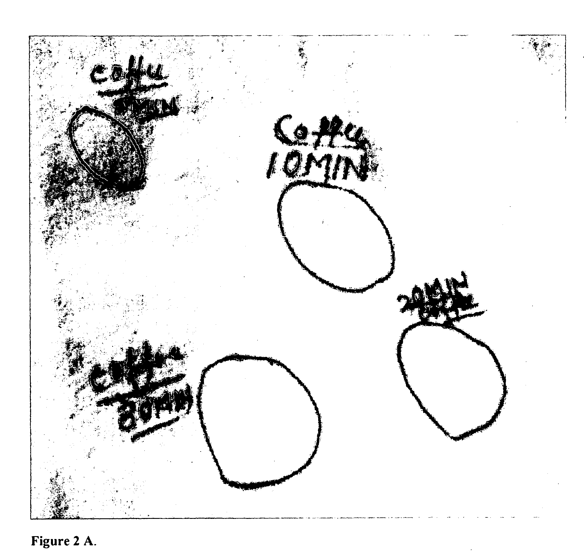 Methods and compositions for improving the surface properties of fabrics, garments, textiles and other substrates