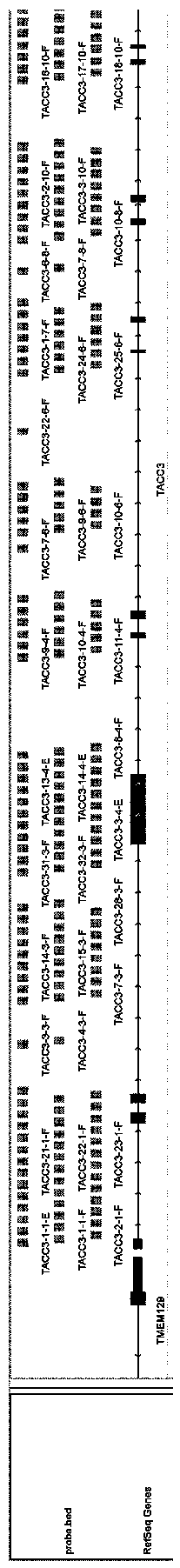 FGFR gene fusion probes, detection method and kit