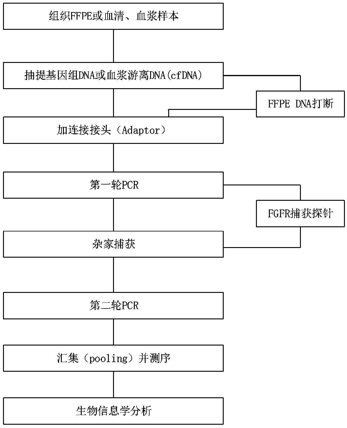 FGFR gene fusion probes, detection method and kit